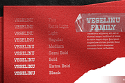Vegelinu - Slab Display Family, a Slab Serif Font by Differentialtype (Thumbnail 11 of 12)