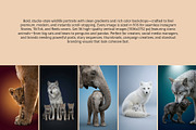 Wild Icons. Animals parents., an Animal Photo by AI Petr Creative Agency (Thumbnail 2 of 7)