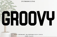 Groovy