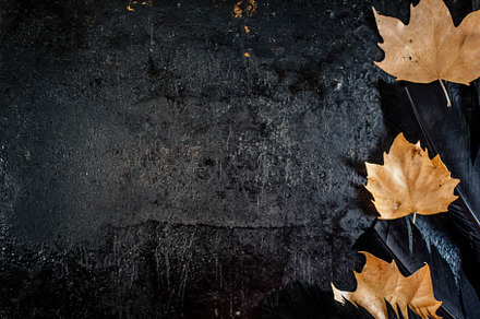 Halloween background with black rave containing halloween, background, and, a Holiday Photo by hitdelight
