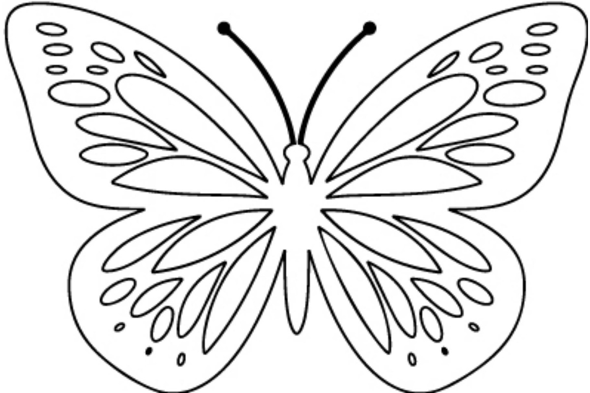 Ornamental Butterfly SVG Bundle, an Object Graphic by Gfx_Store (Photo 5 of 16)