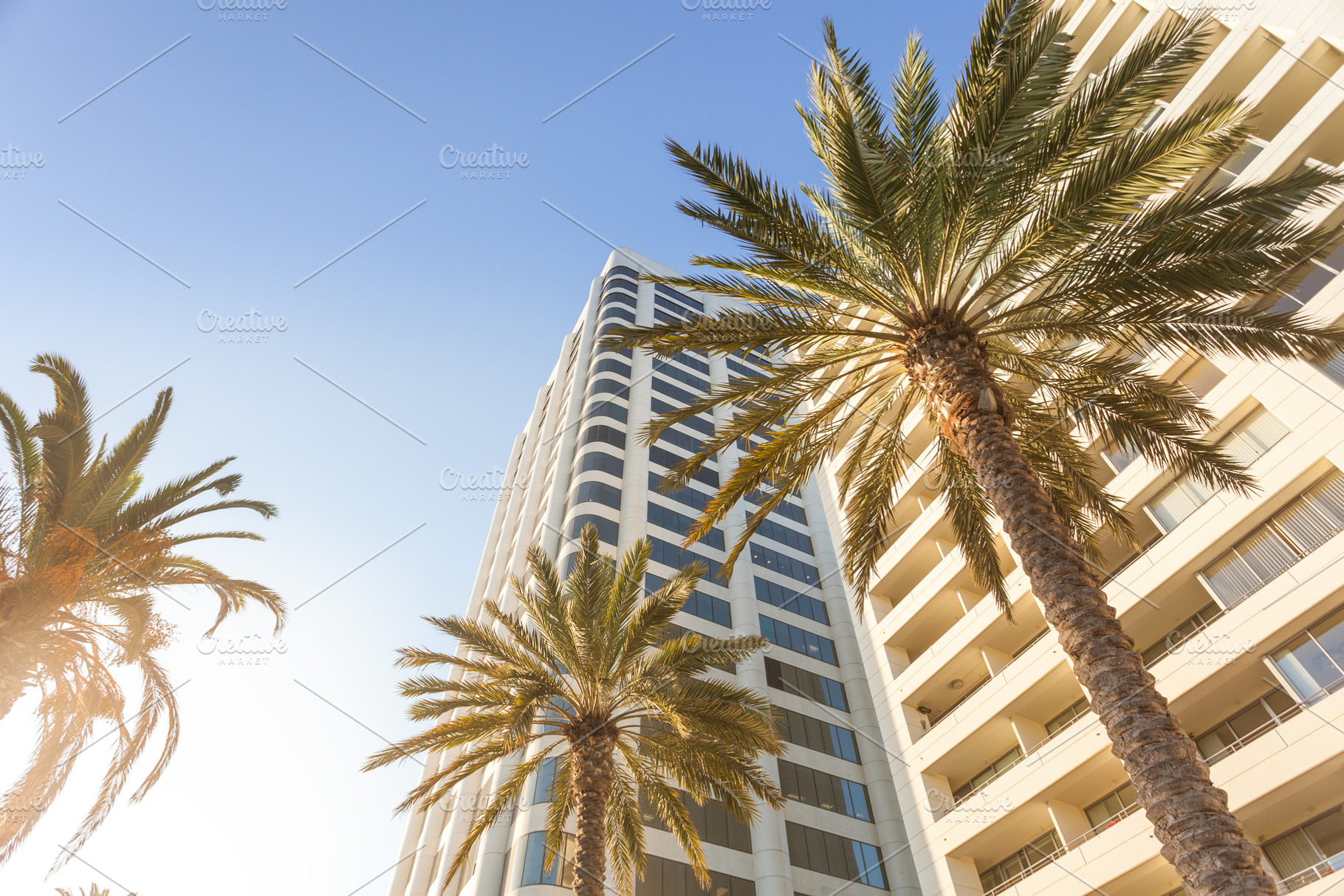 Los Angeles, an Architecture Photo by Dolce Vita
