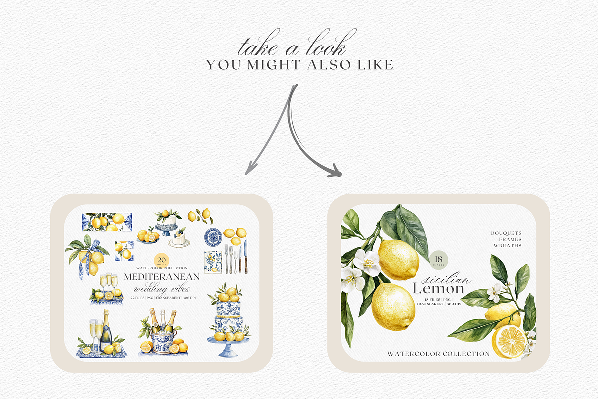 Sicilian Lemons & Ribbons, a Decorative Illustration by ThaismotaCreativeCo (Photo 8 of 9)