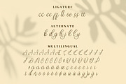 Jump Wings Script Fonts, a Script Font by mahstudios (Thumbnail 13 of 15)