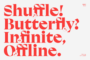 Beth - Intro Family 60% off, a Serif Font by Latinotype (Thumbnail 14 of 17)