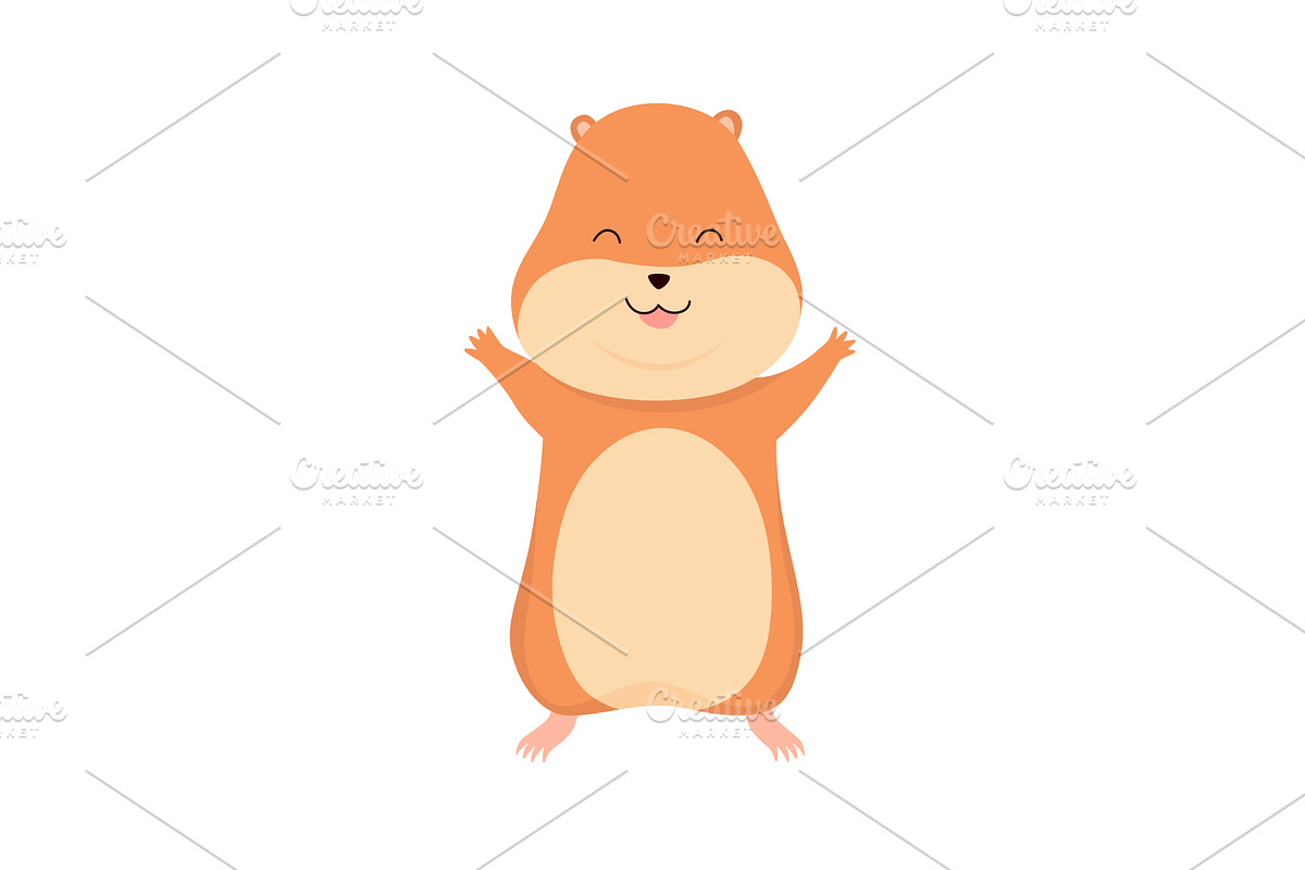 Cartoon hamster. Fluffy domestic pet, an Animal Illustration by the8monkey