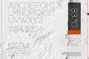 Antarctic, a Font by Aldo (Thumbnail 3 of 5)