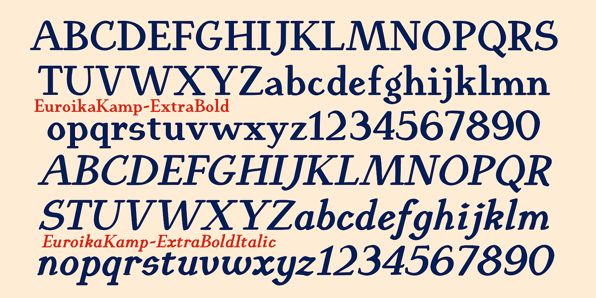 EuroikaKamp, a Serif Font by Ingrimayne Type (Photo 11 of 11)
