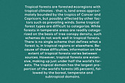 Tropical Sunday - Vintage Sans Serif, a Sans Serif Font by Mikhail Kitsune (Thumbnail 2 of 8)