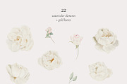 Watercolor White Rose Collection, an Object Illustration by bloomscape (Thumbnail 2 of 13)