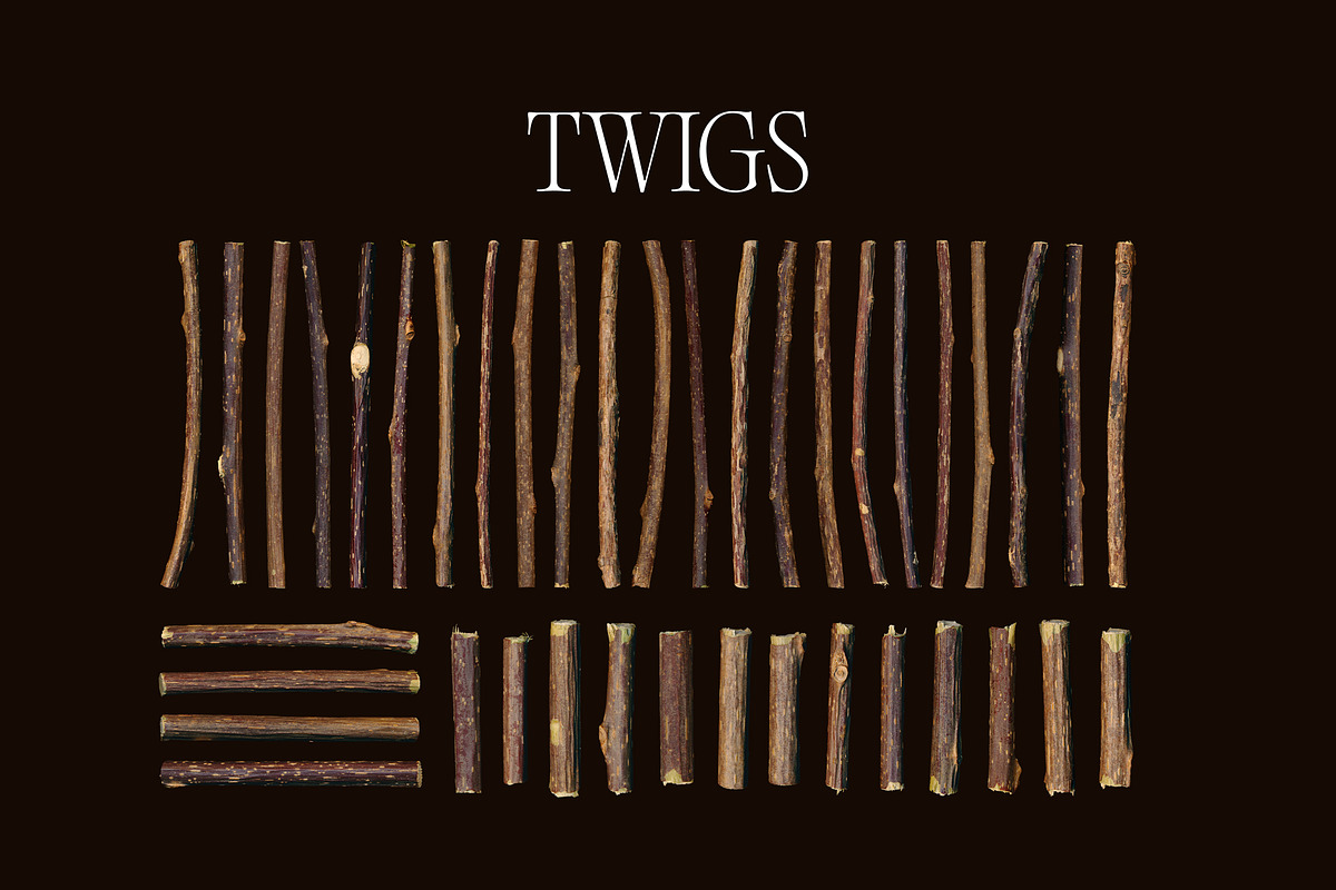 Omens: Witchy Twig Graphics, an Object Graphic by Dina Mae (Photo 10 of 10)