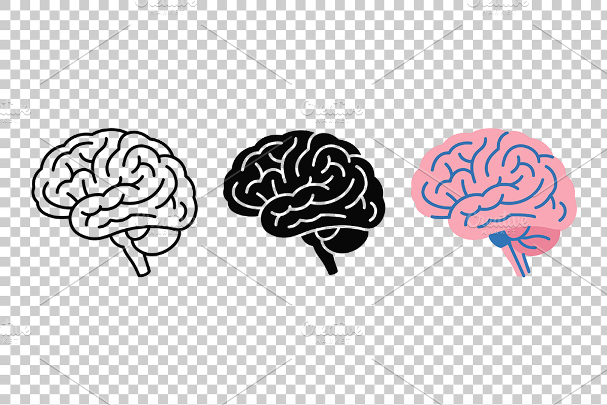 Detailed Human Brain Vector Icon Set, an Object Graphic by Artonix (Photo 3 of 3)