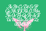 Bitblast – Y2K Display Font, a Serif Font by Edignwn Type (Thumbnail 9 of 10)