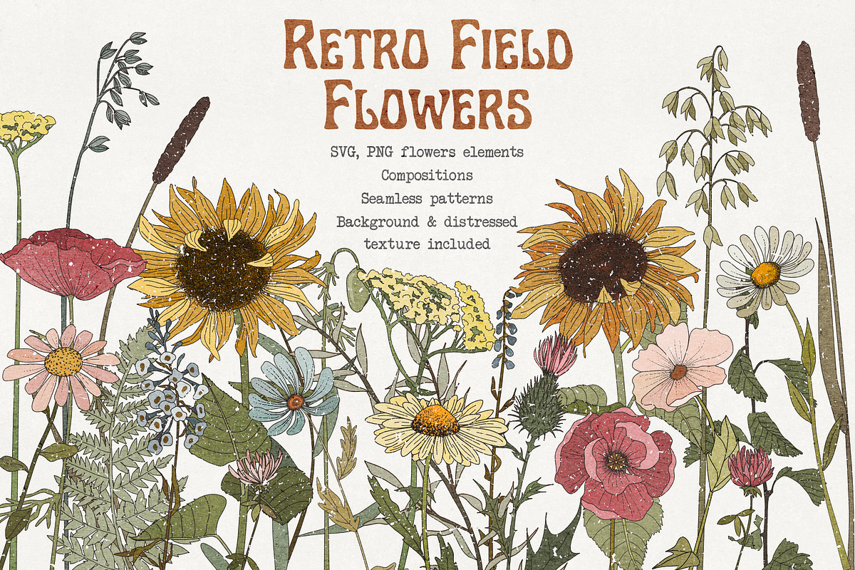 Retro field flowers & sunflowers, a Decorative Illustration by marie dricot (Photo 1 of 10)