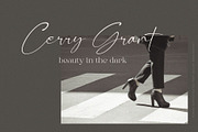 Roman Sophisticated Font Duo, a Serif Font by BrandSemut (Thumbnail 3 of 20)