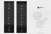 Wildflowers Procreate Stamps, a Brush Add-On by BohoCalligraphy (Thumbnail 2 of 9)