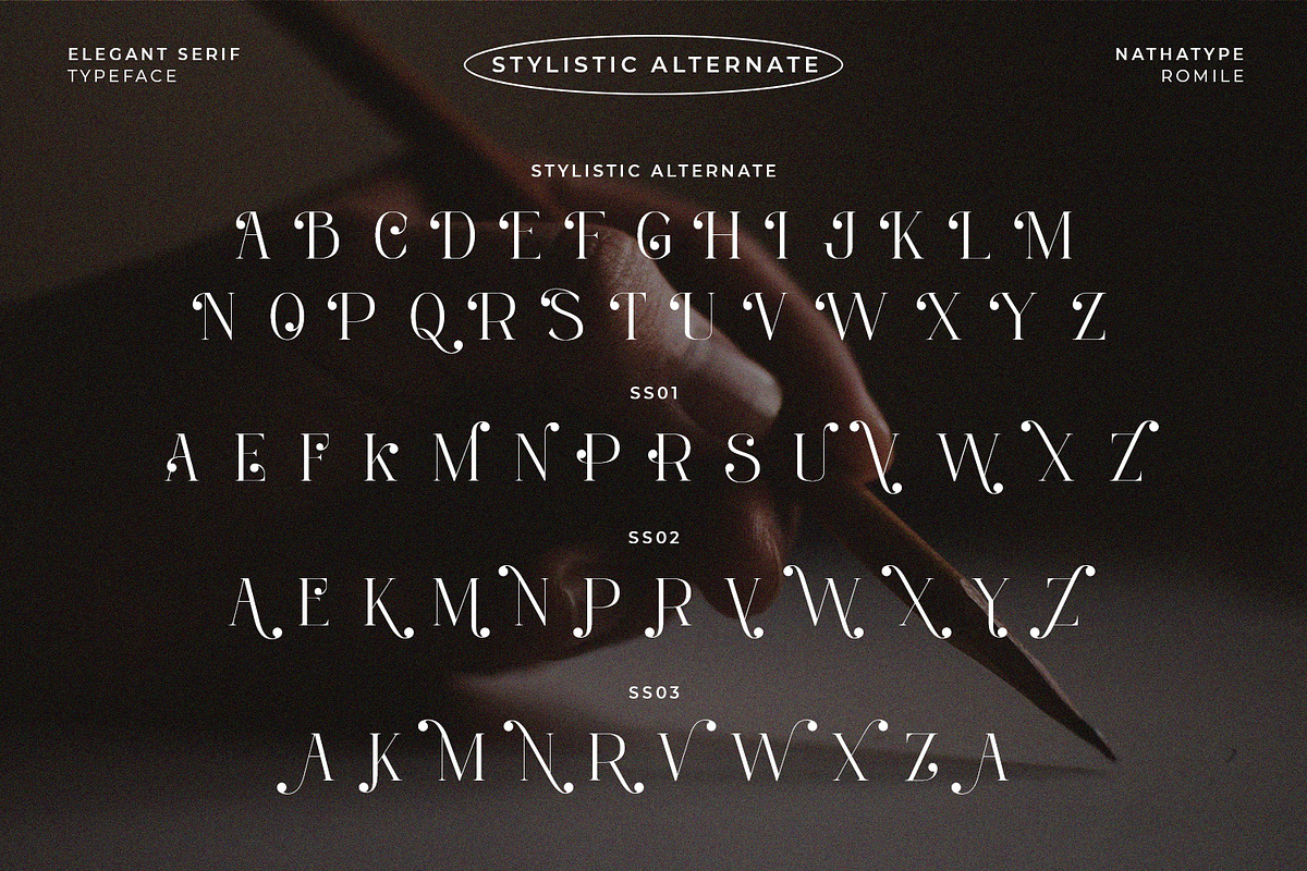 Romile, a Serif Font by Nathatype (Photo 10 of 12)