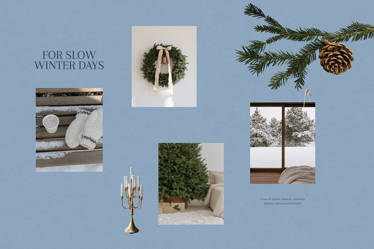 110 Aesthetic Winter Stock Photos, a Nature Photo by Trissa (Photo 8 of 12)