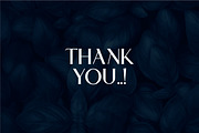 Necmato Art Deco Feel, a Serif Font by typeline studio (Thumbnail 11 of 11)
