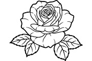 Rose Silhouette File Bundle, a Decorative Illustration by Designer_Momina (Thumbnail 16 of 21)