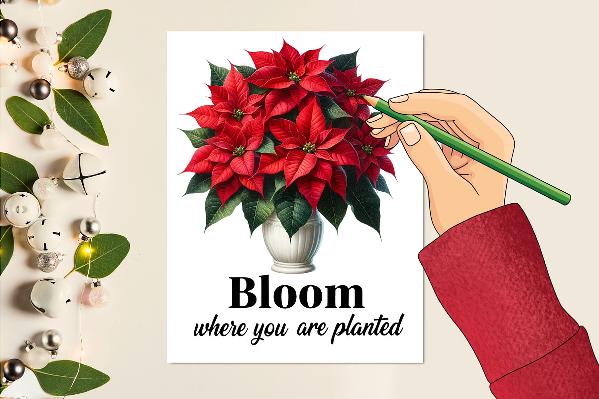Christmas Poinsettia Flower PNG Clip, an Illustration by RobertsArt (Photo 2 of 5)
