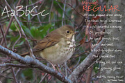 Marydale Regular, a Script Font by Three Islands Press (Thumbnail 2 of 5)