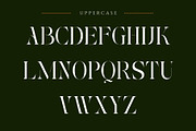 Roxer Stencil - Modern Serif Font, a Serif Font by Nirmana Visual (Thumbnail 3 of 11)