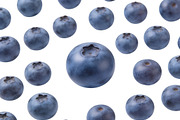 All Fruits Bundle Master Collection, a Food & Drink Photo by FlyeredTemplate (Thumbnail 70 of 130)