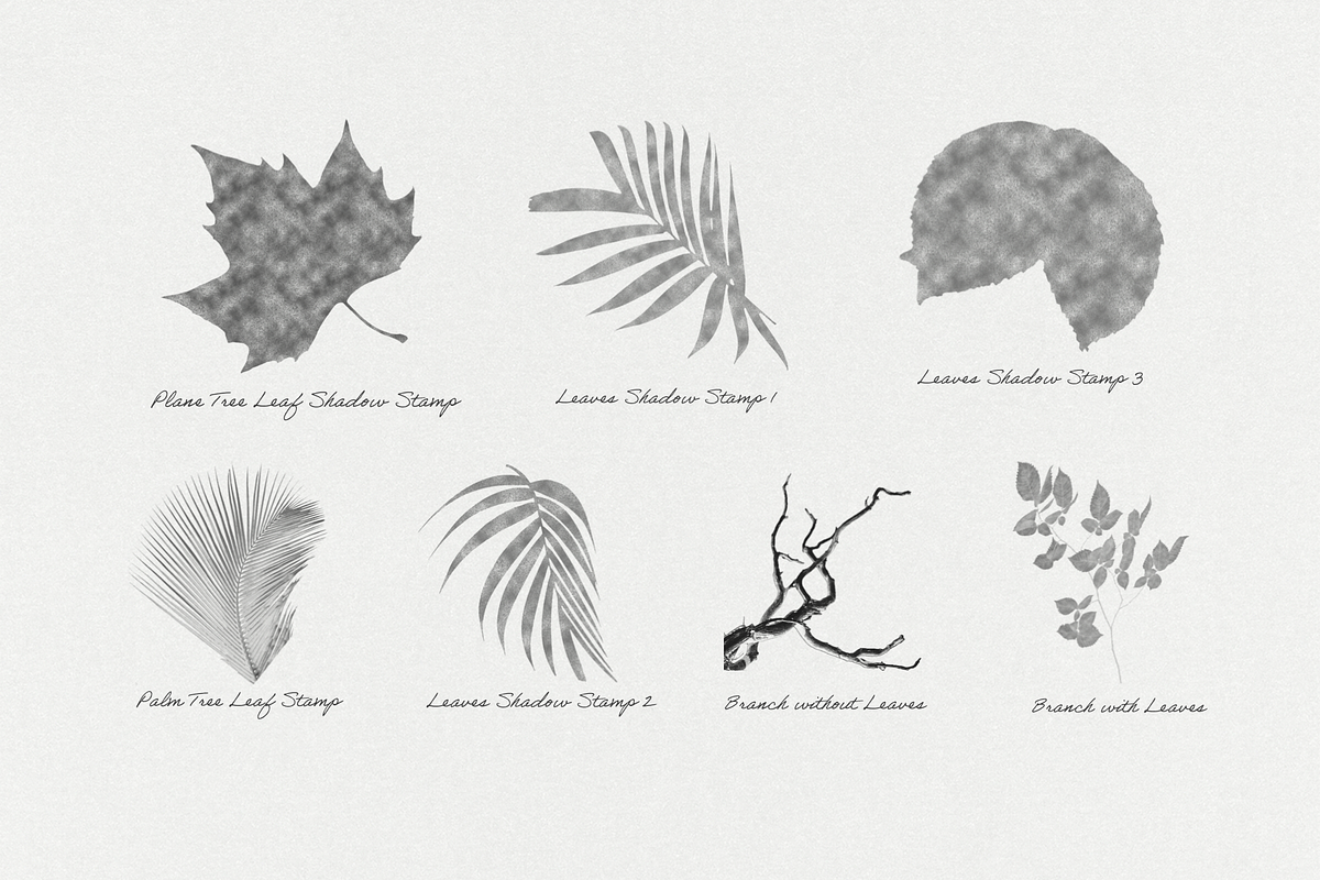 Paper & Shadow Leaves Procreate Kit, a Brush Add-On by Digi Life (Photo 5 of 8)