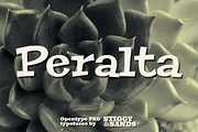 Peralta Pro, a Slab Serif Font by Stiggy & Sands (Thumbnail 1 of 5)