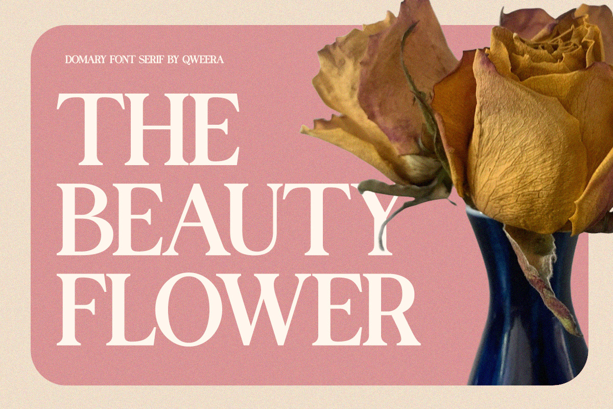 Domary - Modern Elegant Luxury Serif, a Serif Font by Qweera Studio (Photo 7 of 12)