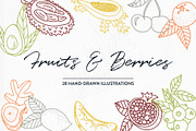 BOTANY BUNDLE - 6in1, a Food Illustration by amber&ink (Thumbnail 11 of 19)