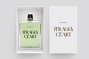 Midlife Cricise Modern Serif Font, a Serif Font by timelesstype.co (Thumbnail 17 of 20)