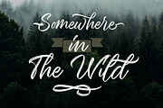 Seymore – Brush Script Font, a Script Font by Typefactoryco (Thumbnail 3 of 12)