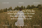 Junewood by Cindy Roaming Designs, a Serif Font by cindyroamingdesigns (Thumbnail 3 of 8)