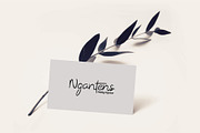 Morella, a Script Font by ViactionType (Thumbnail 11 of 12)