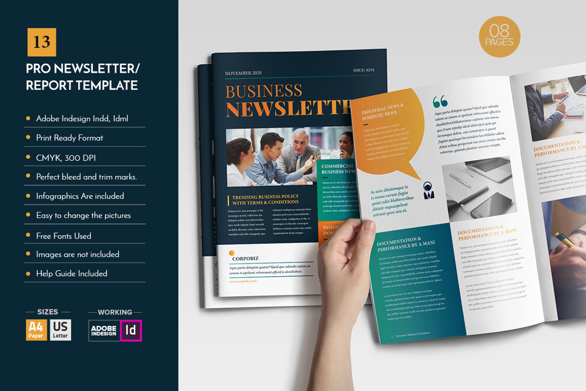 Professional Newsletter Template V12, a Brochure Template by Layout Design