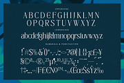 Painting Elegance Modern Serif, a Serif Font by timelesstype.co (Thumbnail 18 of 20)
