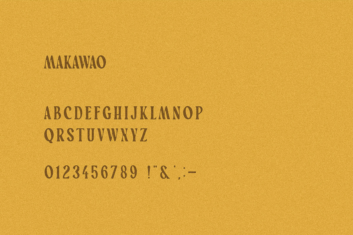 Makawao I A Soft Modern Serif Font, a Serif Font by Taylor Penton (Photo 4 of 4)