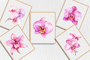 Watercolor Pink Orchid Clipart, a Seasonal Illustration by Rose Art (Thumbnail 5 of 6)