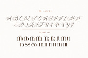 AURA LUXESS, a Serif Font by ToniStudio (Thumbnail 9 of 10)