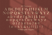 Bagator - Classic Serif Font, a Serif Font by StringLabs (Thumbnail 11 of 12)