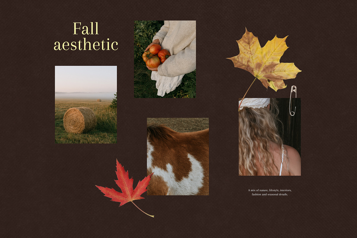 90+ Autumn Stock Photos, a Nature Photo by Trissa (Photo 7 of 12)