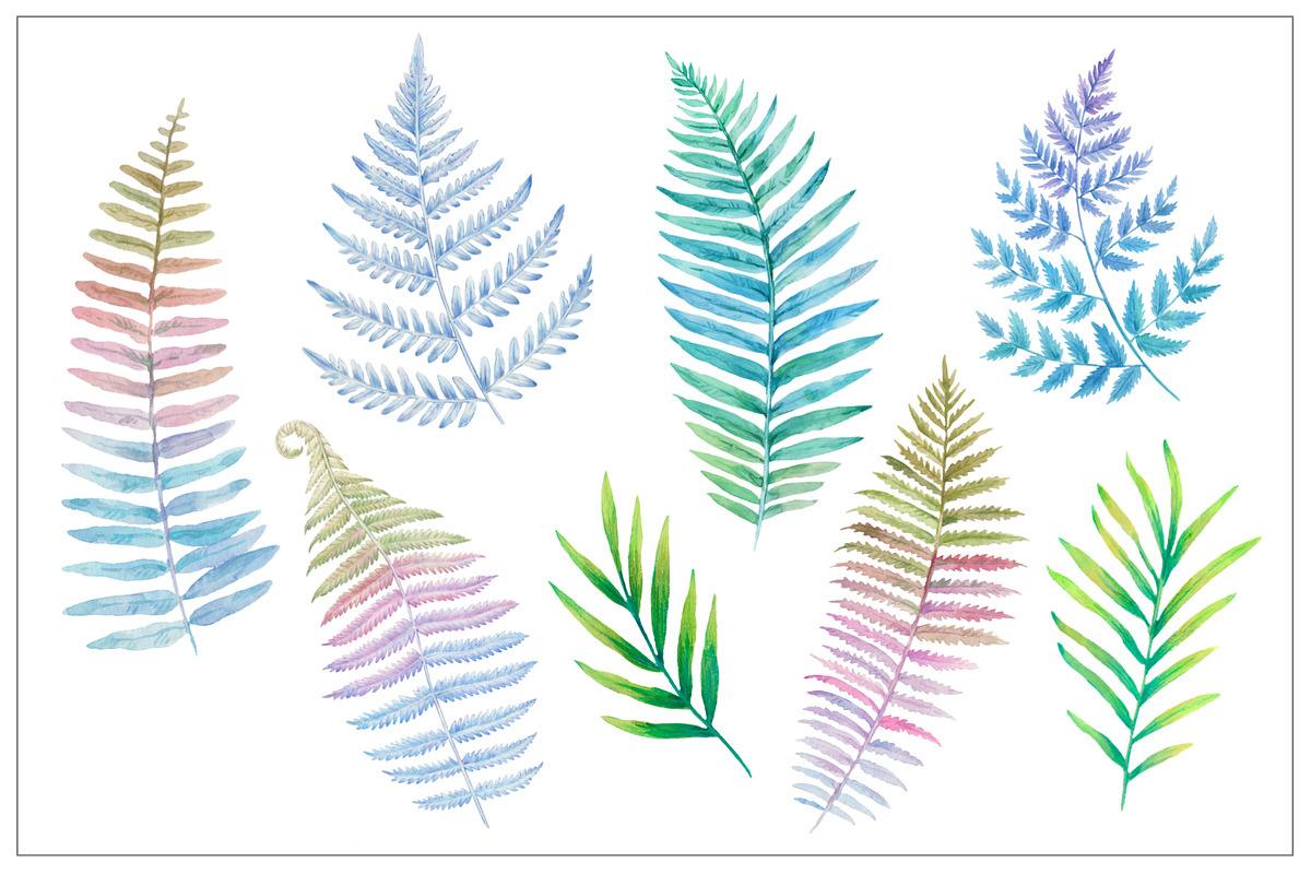 Fairy forest. Patterns and elements, a Decorative Illustration by Robusta (Photo 16 of 17)