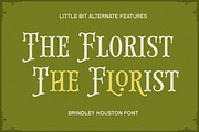 Brindley Houston Display Serif, a Serif Font by Letterhend Studio (Thumbnail 8 of 11)