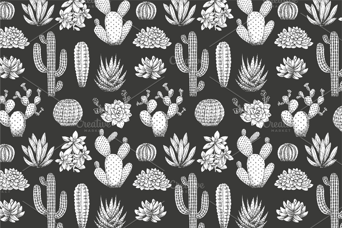 Cactus illustrations, an Illustration by adehoidar (Photo 2 of 6)