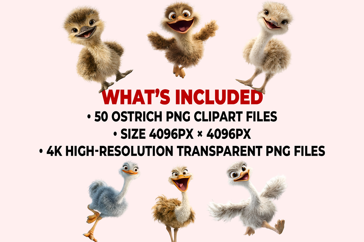 Ostrich PNG Clipart Bundle, a Graphic by M9 Design (Photo 9 of 9)