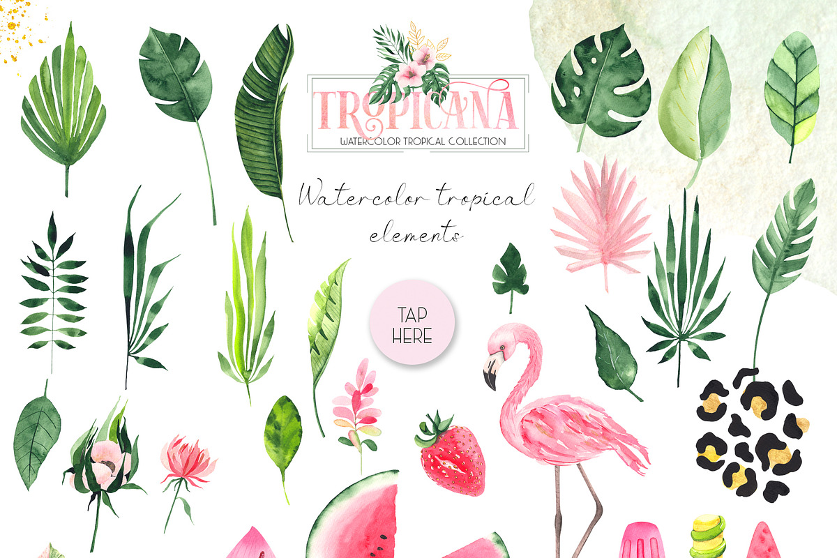 Watercolor tropical collection, an Object Graphic by Ana-Sakuta (Photo 11 of 16)