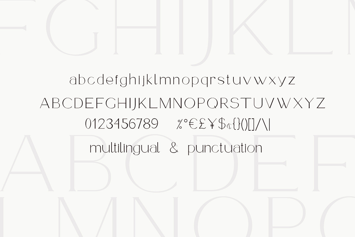 Armeria - serif font, a Serif Font by Art pages (Photo 5 of 8)