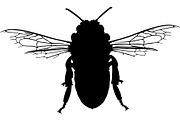 Bee Silhouette Bundle, a Background Graphic by Creativeshirt (Thumbnail 12 of 18)
